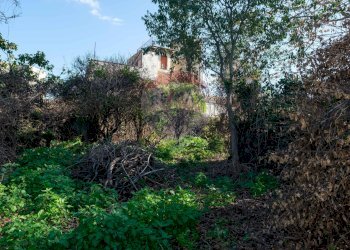 Giardino - Terreno edificabile Vico Balsamo
 
12, San Gregorio di Catania - foto 11