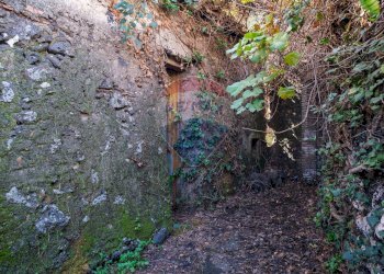 Giardino - Terreno edificabile Vico Balsamo
 
12, San Gregorio di Catania - foto 23