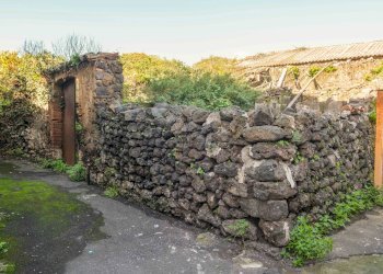 Giardino - Terreno edificabile Vico Balsamo
 
12, San Gregorio di Catania - foto 35