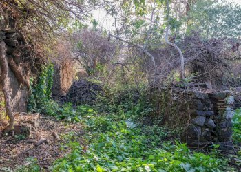 Giardino - Terreno edificabile Vico Balsamo
 
12, San Gregorio di Catania - foto 41