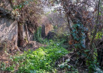 Giardino - Terreno edificabile Vico Balsamo
 
12, San Gregorio di Catania - foto 44
