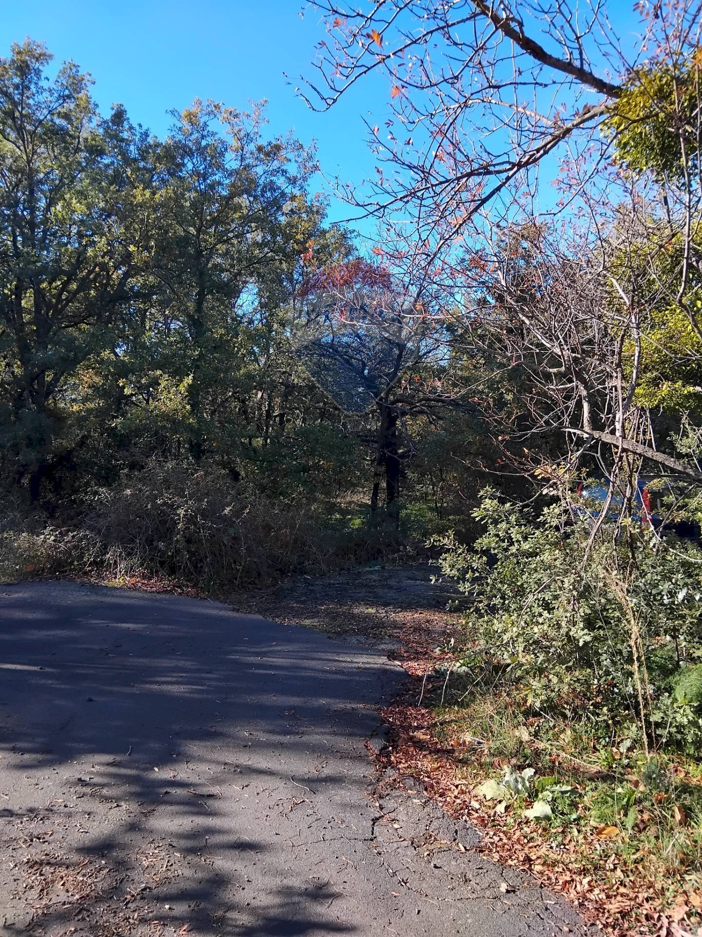 Vista dell\'acqua - Agricultural land Contrada Piano Praino, Ragalna - photo 1