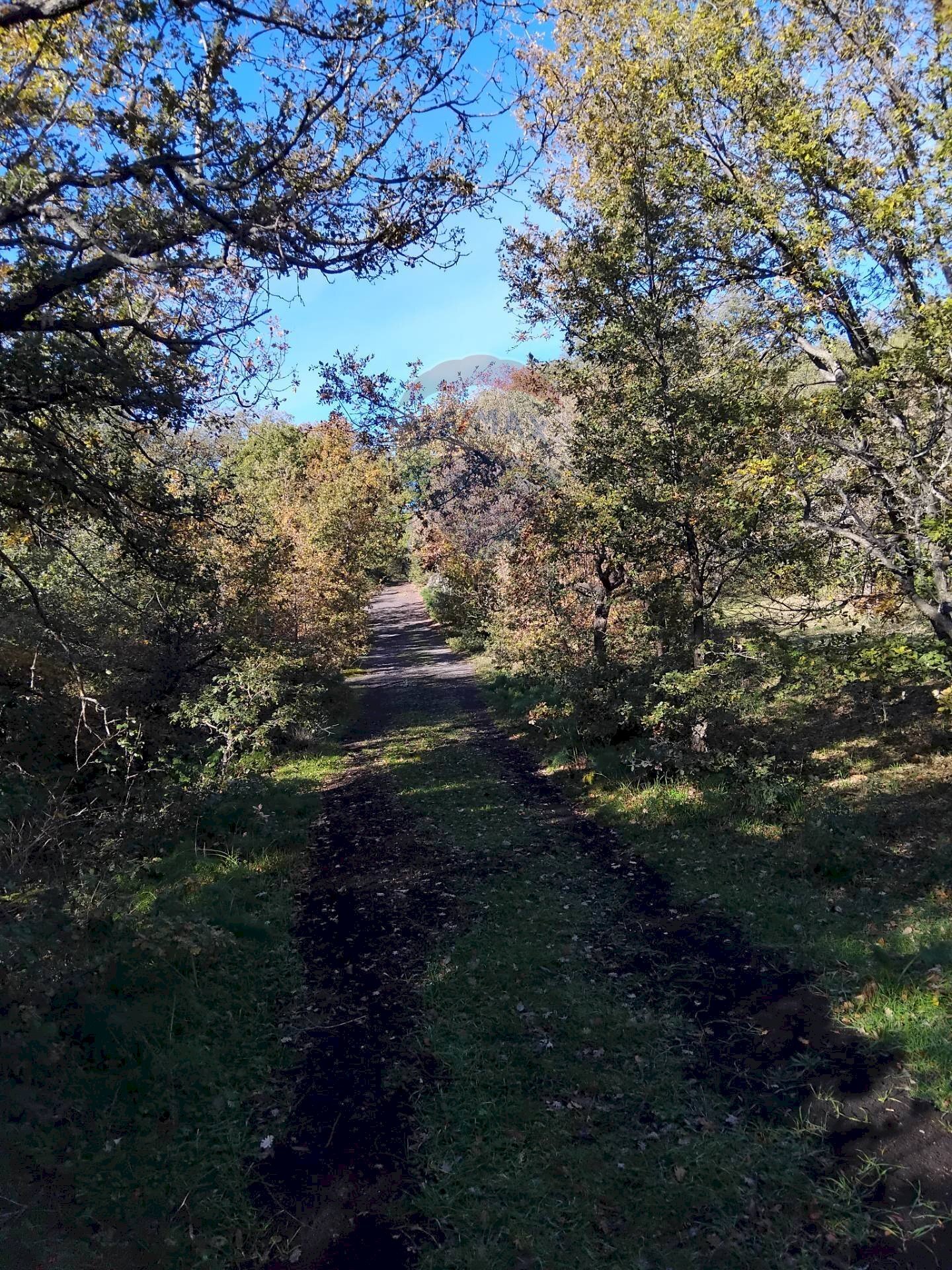 Giardino - Agricultural land Contrada Piano Praino, Ragalna - photo 2