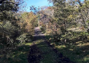 Giardino - Terreno agricolo Contrada Piano Praino, Ragalna - foto 2
