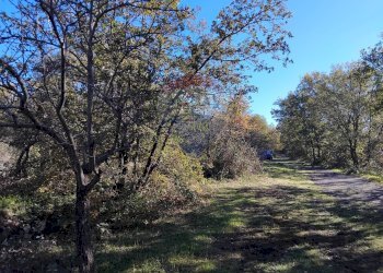Giardino - Terreno agricolo Contrada Piano Praino, Ragalna - foto 4