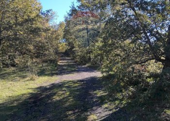Giardino - Terreno agricolo Contrada Piano Praino, Ragalna - foto 5