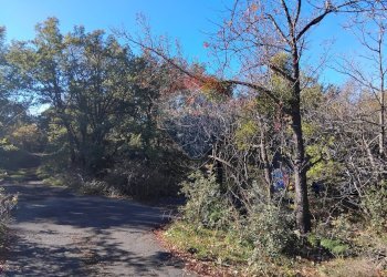 Giardino - Terreno agricolo Contrada Piano Praino, Ragalna - foto 6