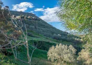 Vista delle montagne - Villa Via Euripide
 
35, Caltagirone - foto 15