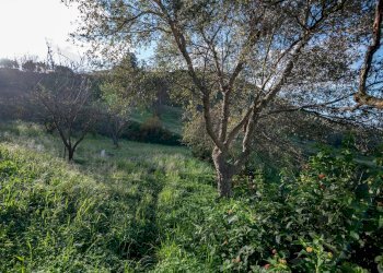 Giardino - Villa Via Euripide
 
35, Caltagirone - foto 16