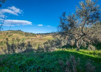 Vista delle montagne - Villa Via Euripide
 
35, Caltagirone - foto 20