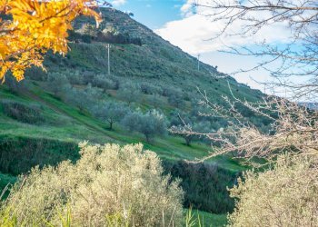 Vista delle montagne - Villa Via Euripide
 
35, Caltagirone - foto 22