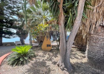 Giardino - Villa Agrigento - foto 6