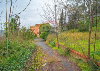 Giardino - Rustico Caltagirone - foto 45