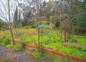 Giardino - Rustico Caltagirone - foto 46