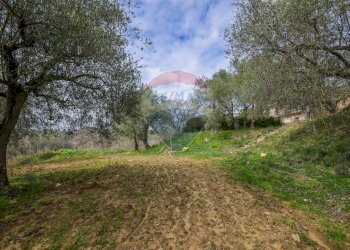 Giardino - Villa Contrada Leano
 
snc, Piazza Armerina - foto 47
