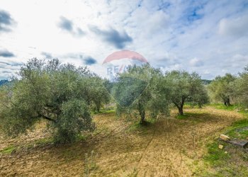 Giardino - Villa Contrada Leano
 
snc, Piazza Armerina - foto 48