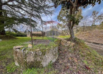 Giardino - Villa Contrada Leano
 
snc, Piazza Armerina - foto 49