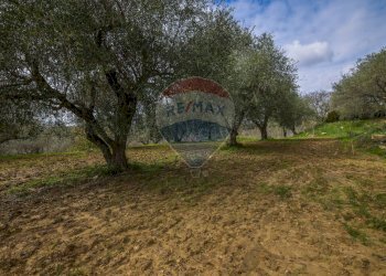 Giardino - Villa Contrada Leano
 
snc, Piazza Armerina - foto 50
