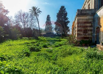 Giardino - Rustico Catania - foto 9