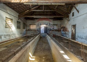 Non correlato - Rustico Catania - foto 40