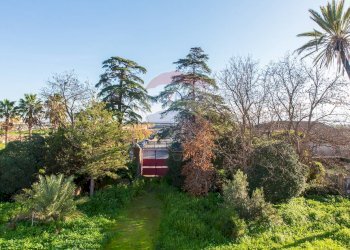 Giardino - Rustico Catania - foto 79