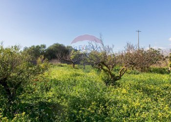 Giardino - Rustico Catania - foto 91