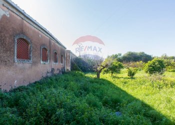 Giardino - Rustico Catania - foto 93