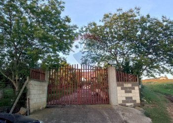 Giardino - Agricultural land Via Gaetano Costa
 
snc, Grammichele - photo 1