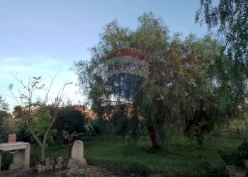 Giardino - Agricultural land Via Gaetano Costa
 
snc, Grammichele - photo 5