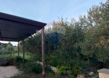 Giardino - Agricultural land Via Gaetano Costa
 
snc, Grammichele - photo 8