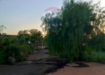 Giardino - Agricultural land Via Gaetano Costa
 
snc, Grammichele - photo 9