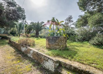 Giardino - Villa contrada terravecchia, Grammichele - foto 17