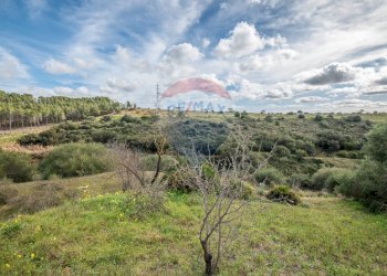 Vista delle montagne - Terreno agricolo Contrada Noce Marfisa, Caltagirone - foto 2
