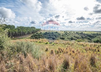 Vista delle montagne - Terreno agricolo Contrada Noce Marfisa, Caltagirone - foto 3
