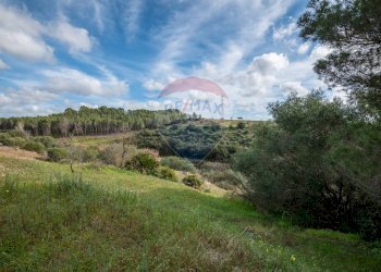 Giardino - Terreno agricolo Contrada Noce Marfisa, Caltagirone - foto 4