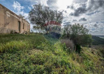 Giardino - Terreno agricolo Contrada Noce Marfisa, Caltagirone - foto 5