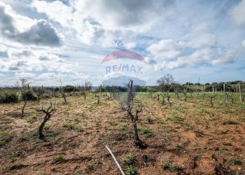 Vista delle montagne - Terreno agricolo Contrada Noce Marfisa, Caltagirone - foto 7