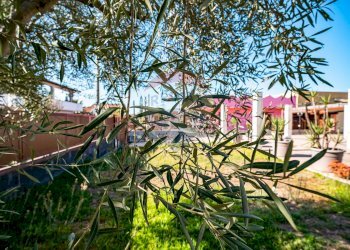 Giardino - Casa indipendente C.da Agnone Marina
 
snc, Augusta - foto 21