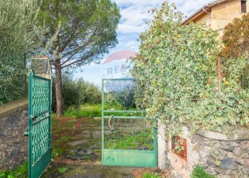 Giardino - Villa Via Cavaliere Bosco
 
166, Santa Maria di Licodia - foto 5