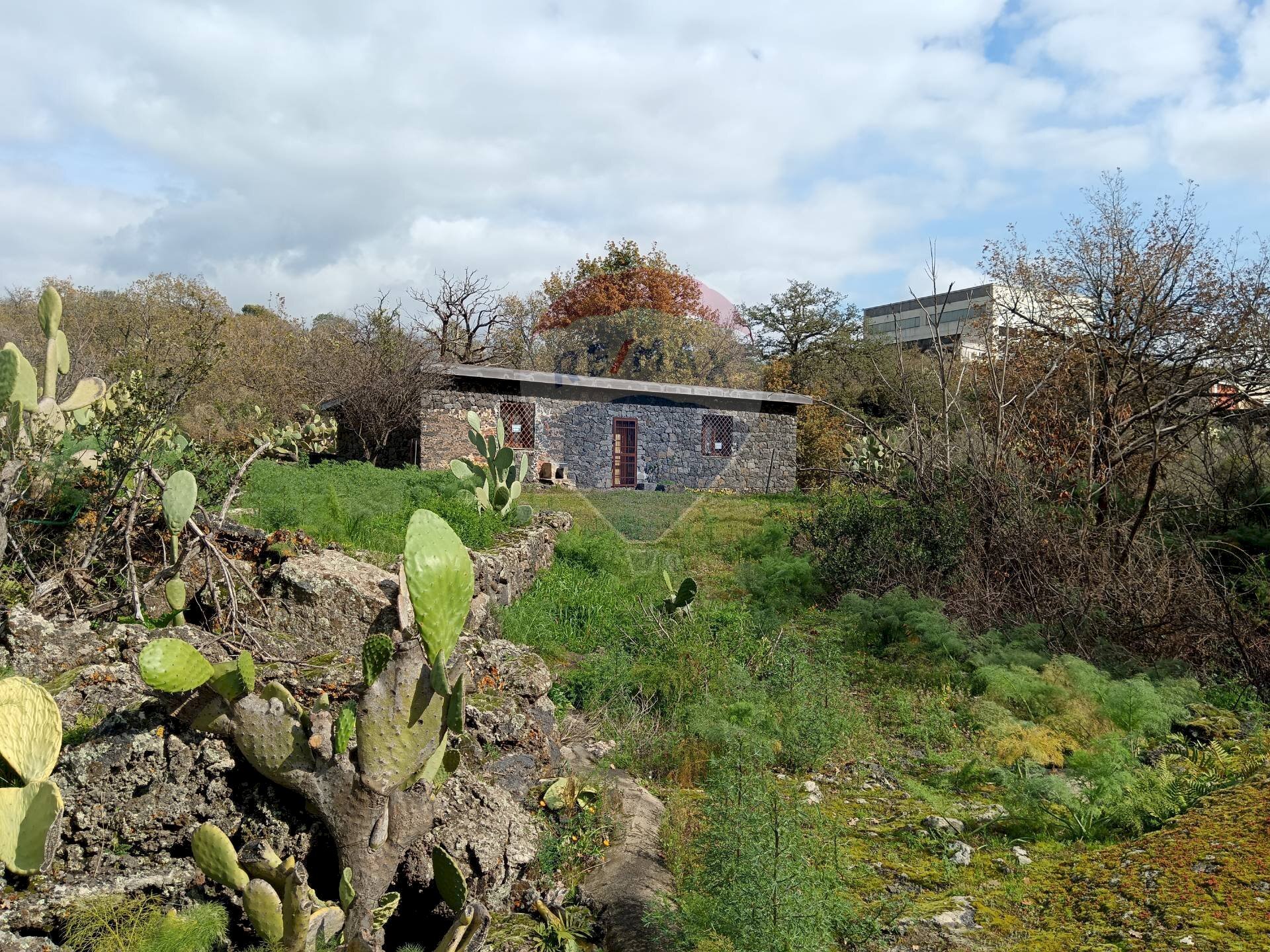 Giardino - Rustic SP56/I - C.da Spaventa
 
snc, Belpasso - photo 2