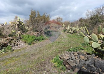 Giardino - Rustico SP56/I - C.da Spaventa
 
snc, Belpasso - foto 10