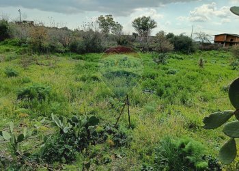 Giardino - Rustico SP56/I - C.da Spaventa
 
snc, Belpasso - foto 11