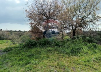 Giardino - Rustico SP56/I - C.da Spaventa
 
snc, Belpasso - foto 12