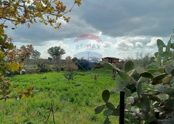 Giardino - Rustico SP56/I - C.da Spaventa
 
snc, Belpasso - foto 13