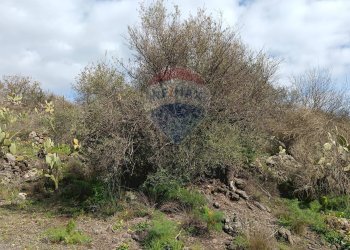 Giardino - Rustico SP56/I - C.da Spaventa
 
snc, Belpasso - foto 17