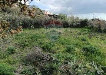 Giardino - Rustico SP56/I - C.da Spaventa
 
snc, Belpasso - foto 20