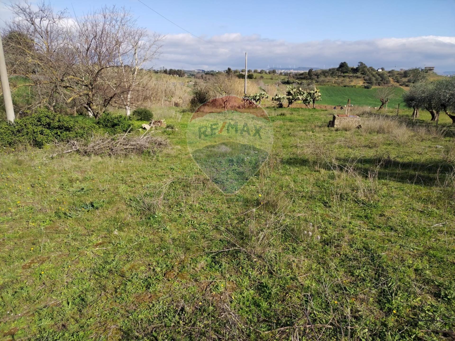 Vista delle montagne - Villa Contrada San Cataldo
snc, Caltagirone - foto 3
