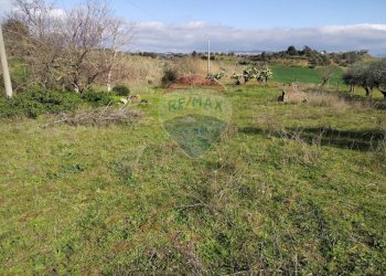 Vista delle montagne - Villa Contrada San Cataldo
 
snc, Caltagirone - foto 3