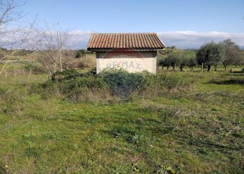 Casa all\'aperto - Villa Contrada San Cataldo
 
snc, Caltagirone - foto 4
