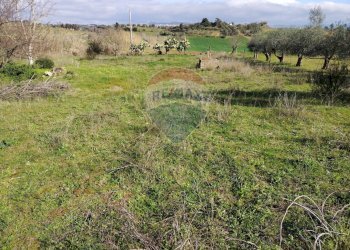 Non correlato - Villa Contrada San Cataldo
 
snc, Caltagirone - foto 5